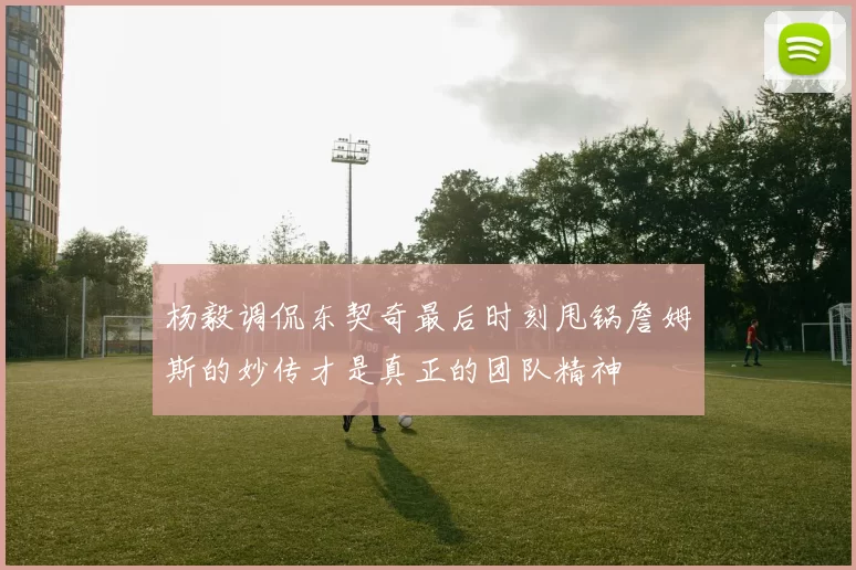 杨毅调侃东契奇最后时刻甩锅詹姆斯的妙传才是真正的团队精神